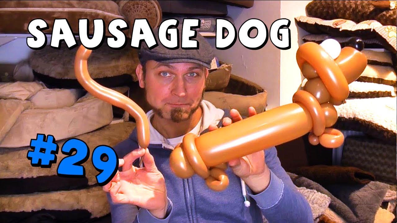 #29 - Sausage Dog