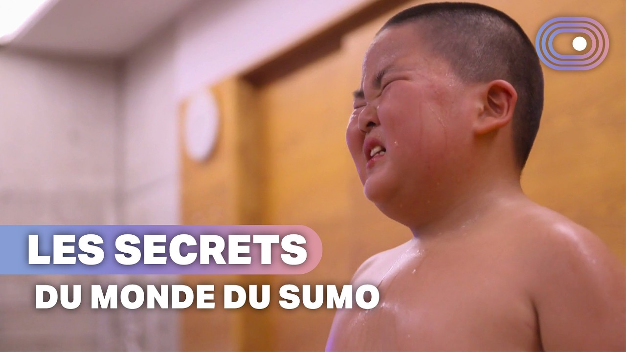 Japon : ces Sumos mettent leur vie en danger
