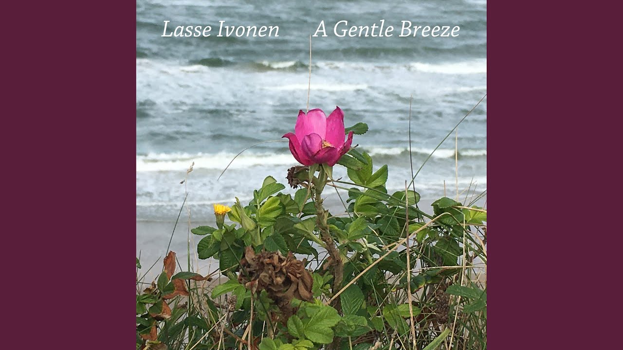 A Gentle Breeze