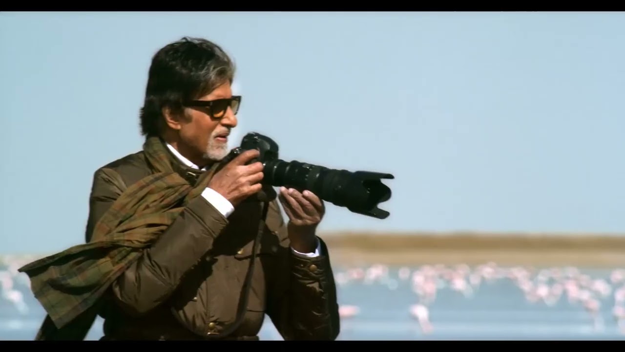 The Land of Migrating Birds: A Gujarat Wildlife Adventure with Amitabh Bachchan