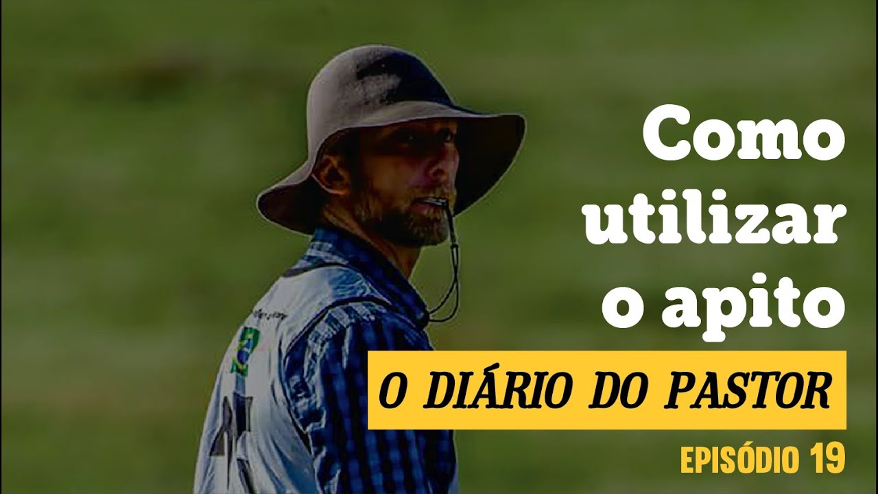 Como utilizar apito para Border Collie? | Episódio 19 | Diário do Pastor