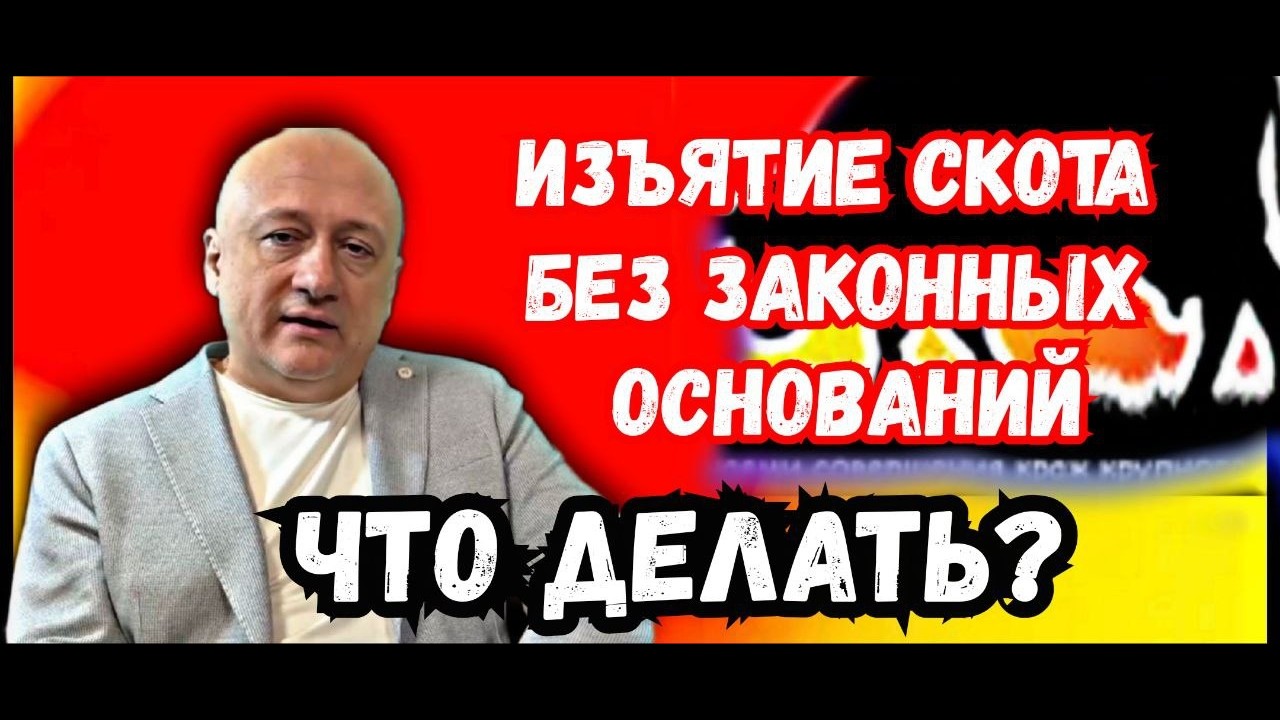 Изъятие скота без законных оснований. Алгоритм действий