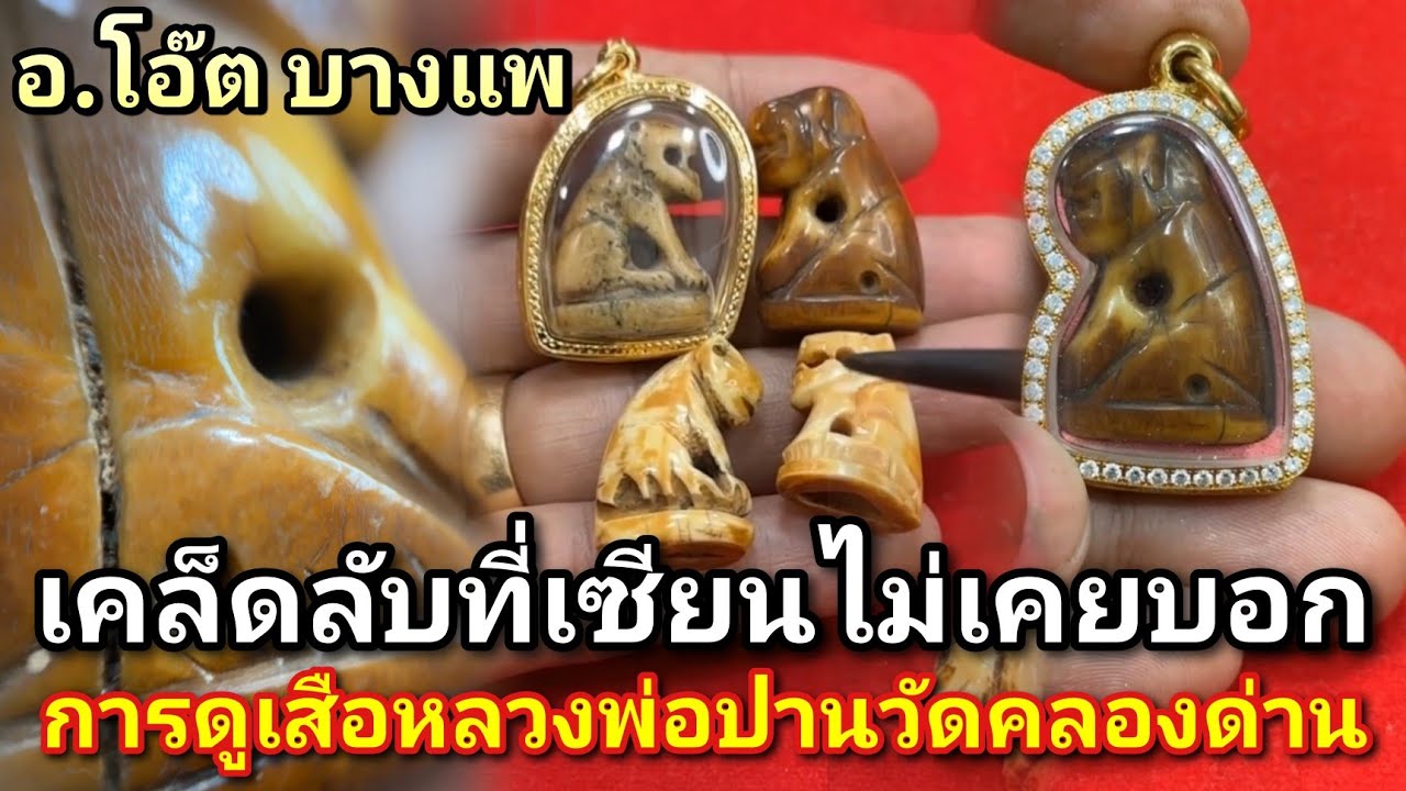 #เสือหลวงพ่อปาน เเท้-เก๊! ดูอย่างไร เคล็ดลับที่เซียนไม่เคยบอก #โอ๊ตบางแพ