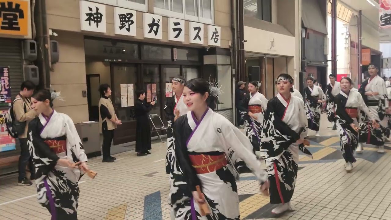 ふくのやまよさこいにて、藍なり初動画撮ってみた♥️　#藍なり#よさこい#ふくのやまよさこい#よさこい応演舞#応演舞 