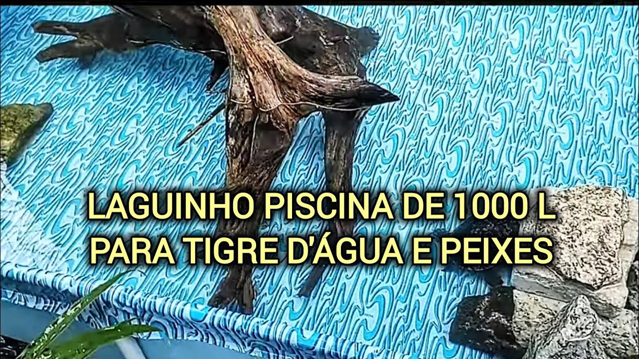 Laguinho Aquário Piscina 1000 Litros para cágado Tigre D'água