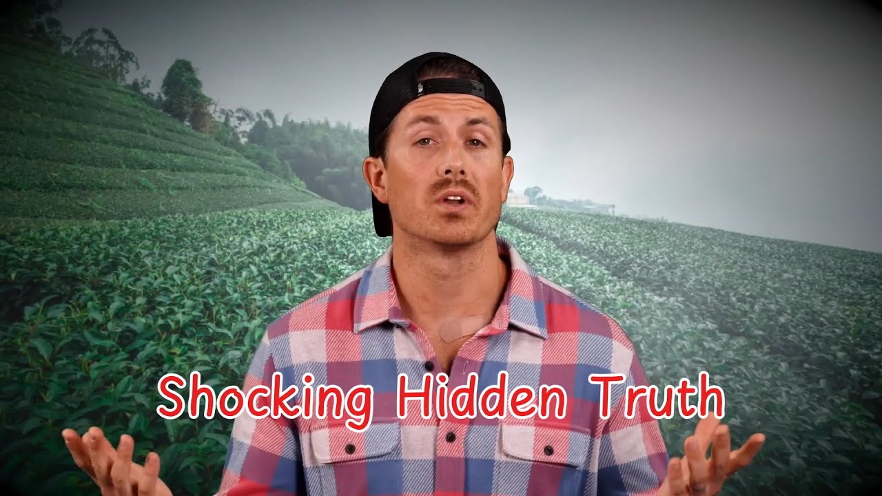 Unbelievable Stories That Turned Out to Be True - MrBallen Podcast Stories