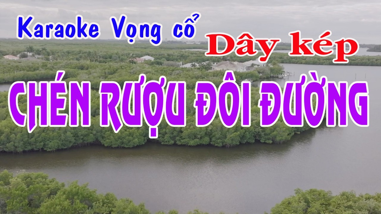 Karaoke vọng cổ CHÉN RƯỢU ĐÔI ĐƯỜNG  - DÂY KÉP