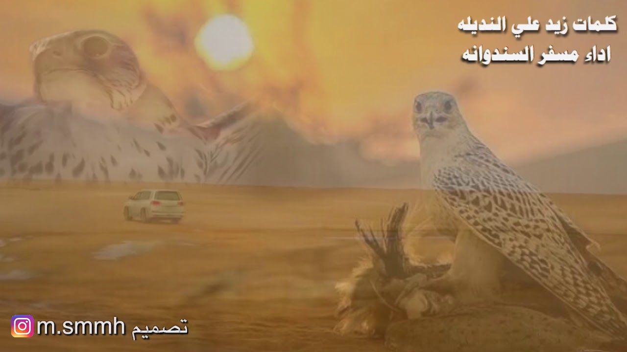 شيلة/ يا اهل الطيور الصايدات الشطيرة /كلمات زيد علي النديله/اداء مسفر السندوانه