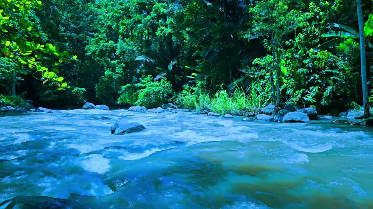 Forest River Serenity | 4K Nature Sounds for Stress Relief & Focus