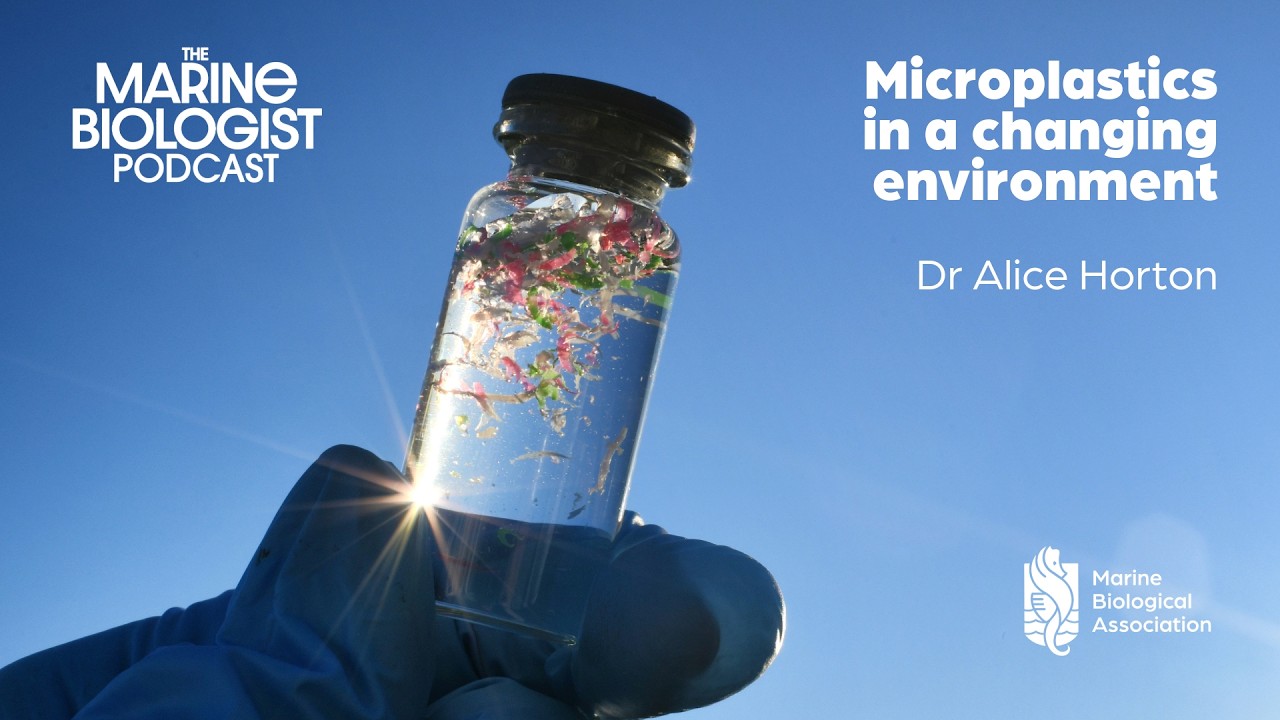 Microplastics in a changing environment | The Marine Biologist Podcast with Dr Alice Horton