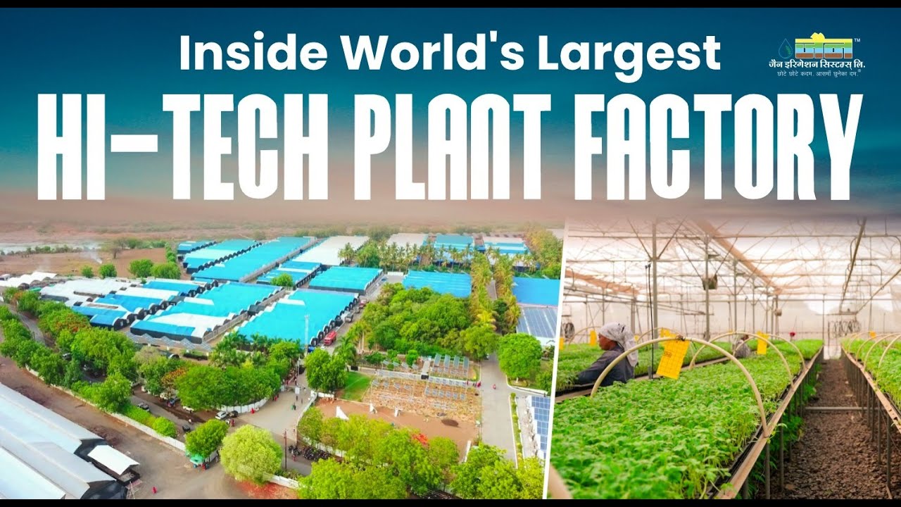 This Plant Factory Growing BILLIONS of Plants Without Soil & Sunlight!