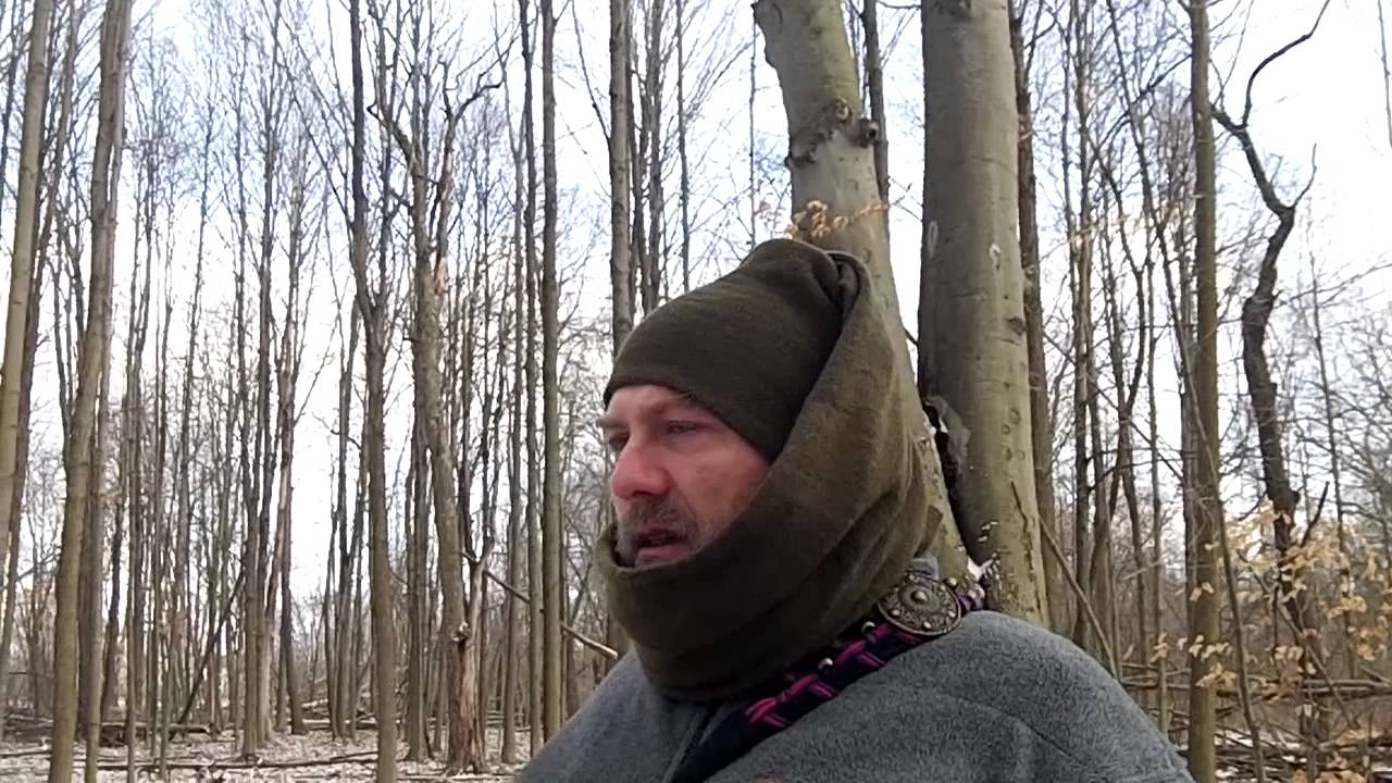 Woodland Plants for Winter Survival, Food and Medicine