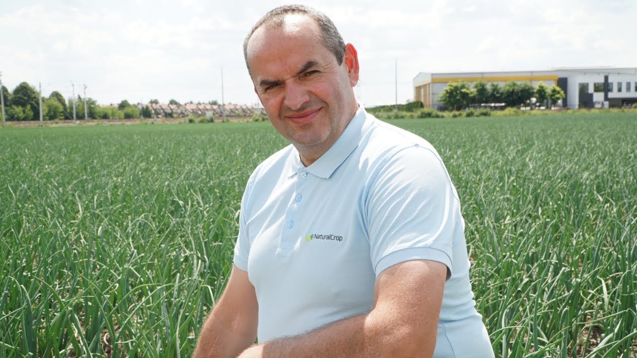 Aktualna sytuacja na plantacji cebuli. Jak radzić sobie z zagrożeniami? Sławomir Mechacki 06.07.2023