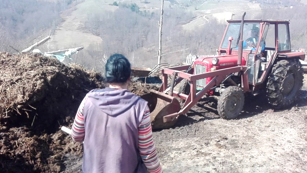 IMT 539 - TOVARENJE DJUBRETA - GORNJE KOŠLJE - FERGUSON SILAAA...💪💪💪💪