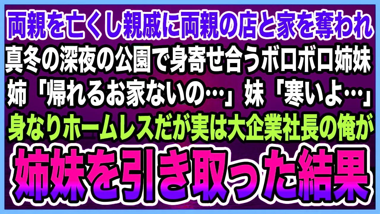【感動する話】両親を亡くし親戚に両親の店と家を奪われ真冬の深夜の公園で身寄せ合うボロボロ姉妹姉「帰れるお家ないの…」身なりホームレスだが実は大企業社長の俺が姉妹を引き取った結果【泣ける話・朗読】