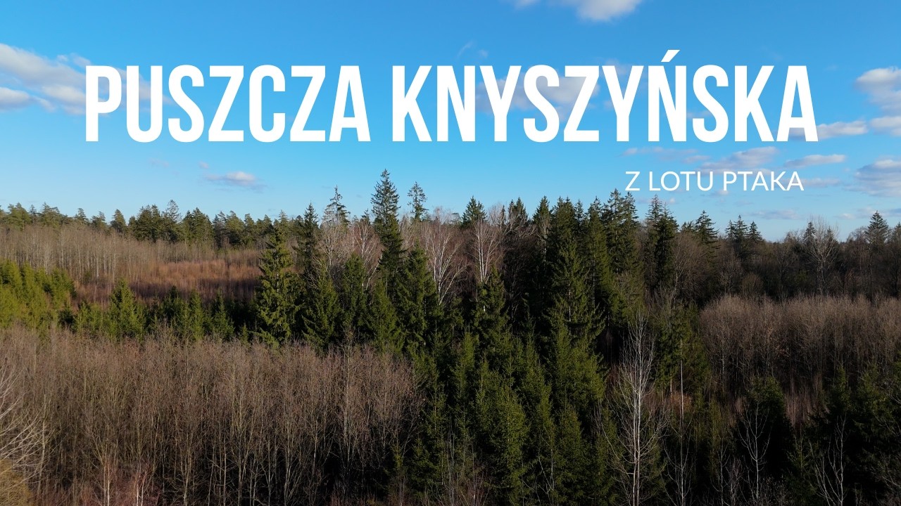 Puszcza Knyszyńska z lotu ptaka