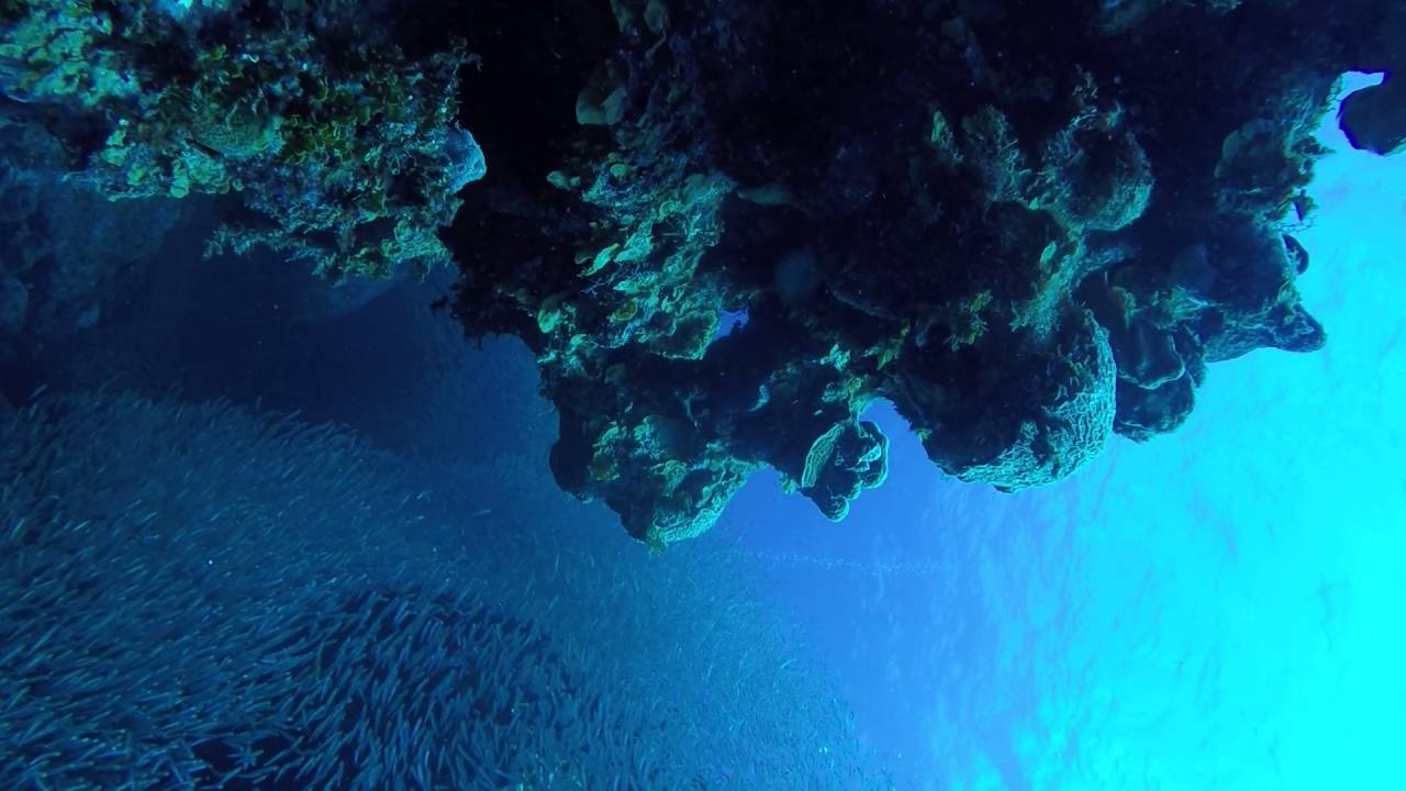 Grouper