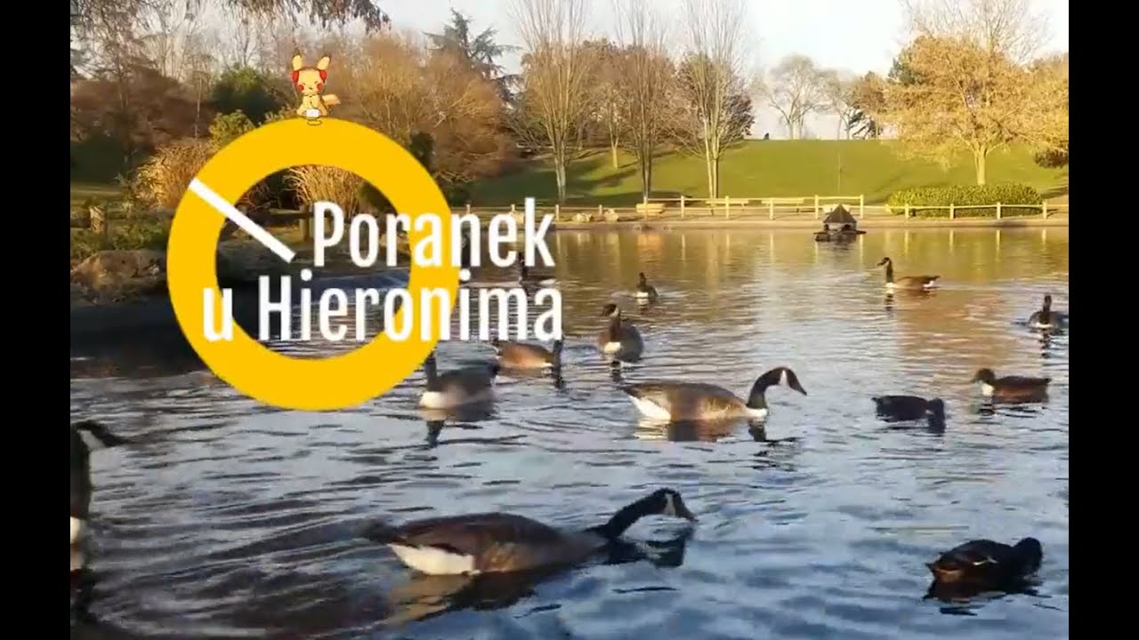 Poranek u Hieronima - odc. 21