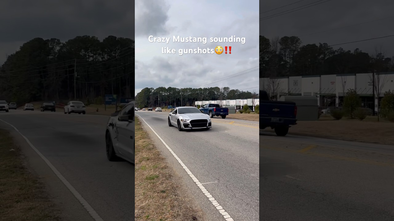 Crazy loud Mustang‼️😳 