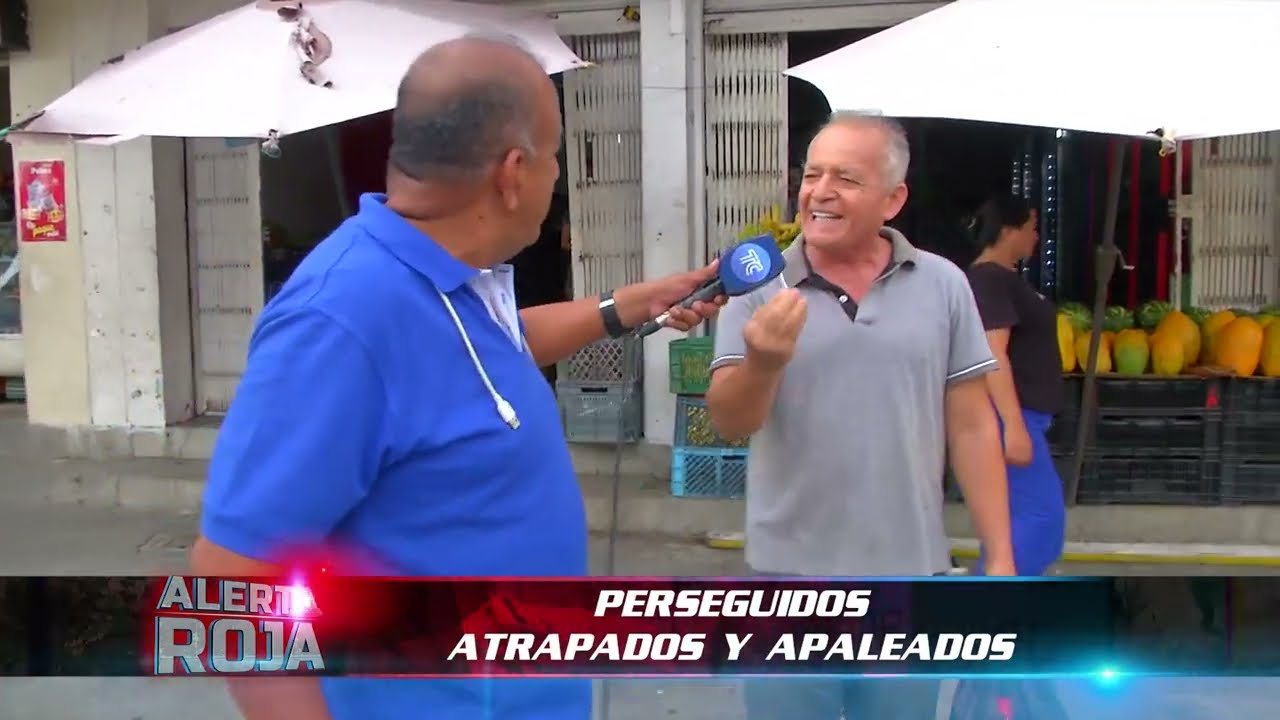 Ciudadano llama 