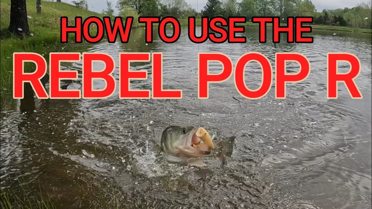 HOW TO CATCH BASS WITH THE REBEL POP R | TIPS & TRICKS