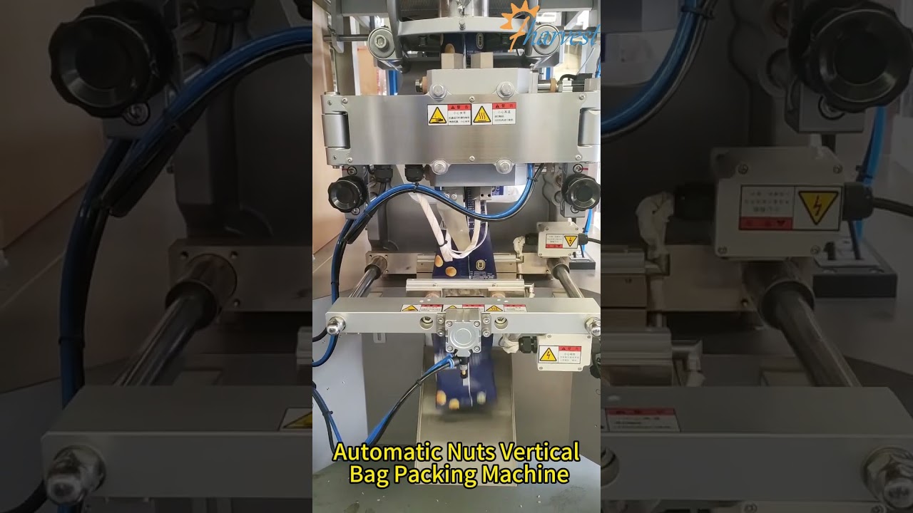 Automatic Nuts Filling Small Bag Packing Machine Best Manufacturer
