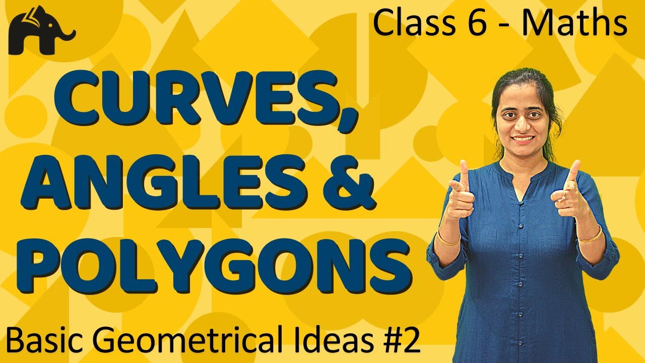 Basic Geometrical Ideas Class 6 Maths #2 | Curve| Polygon| Angle