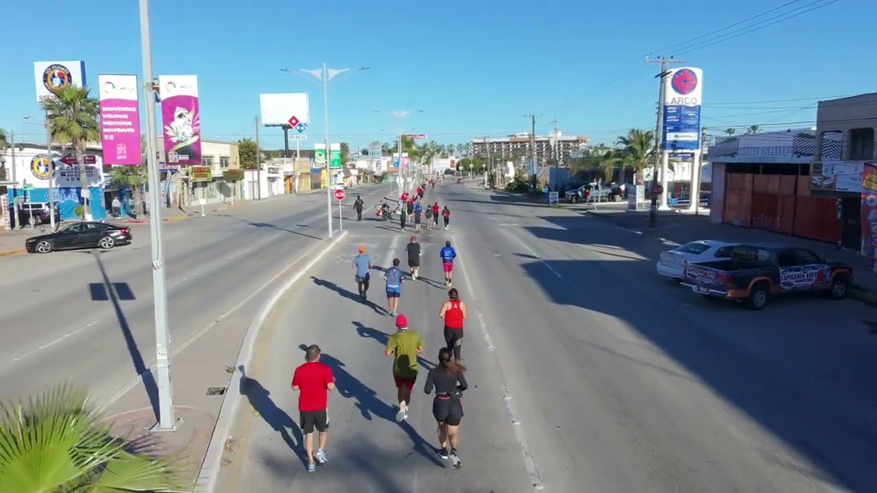Carrera superior bowl 6k