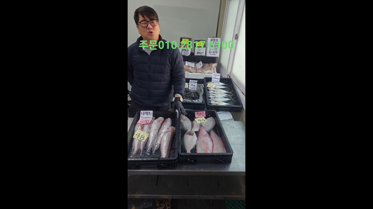 잡어특가#대갈치#고등어#덕자#갑오징어#참돔