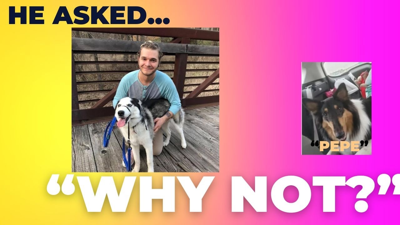 How One Question Started Helping Pets in Need