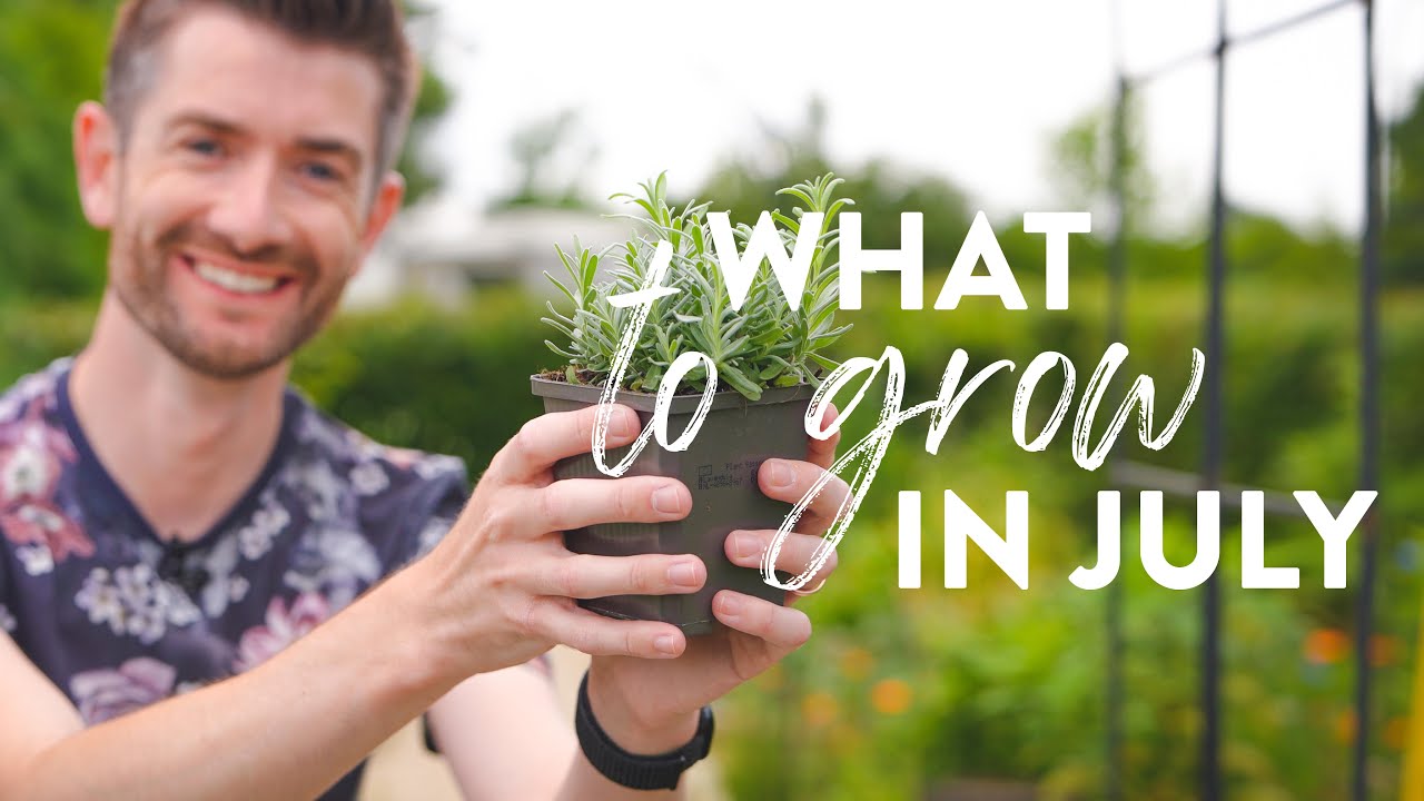 What to Plant in July | Not the Usual 'What to Sow' Video!