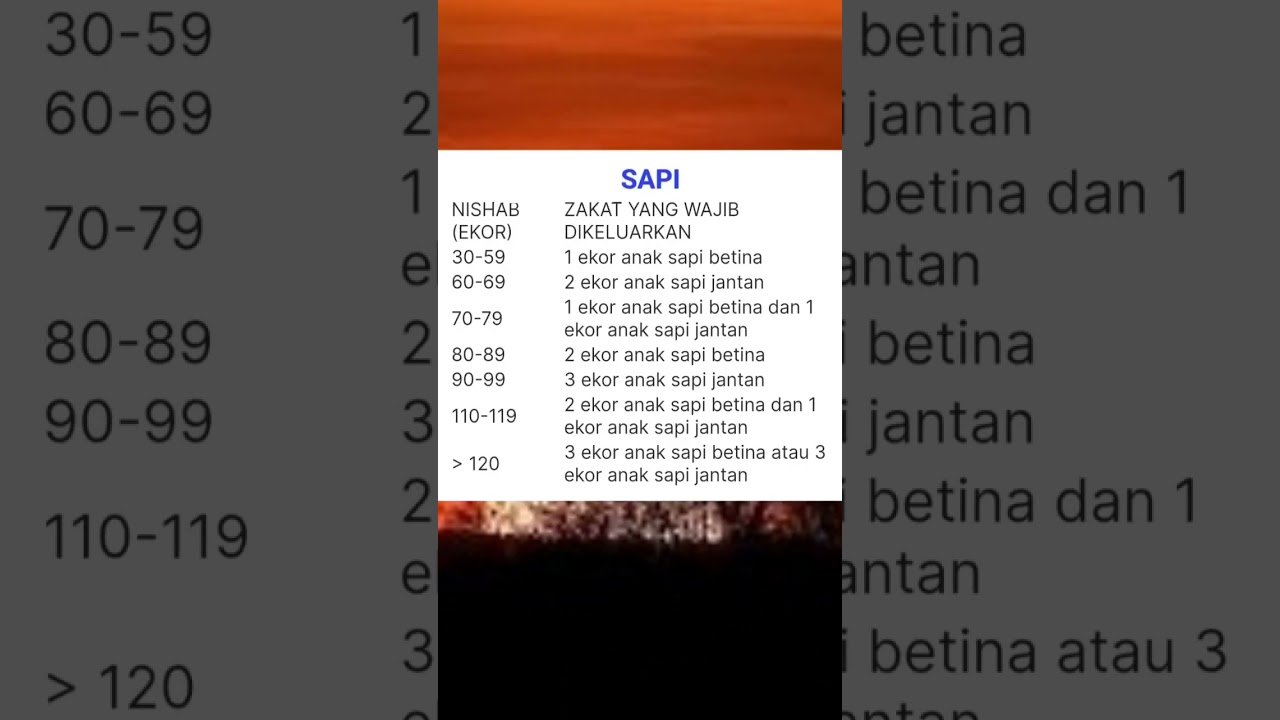 PERHITUNGAN NISAB ZAKAT TERNAK SAPI