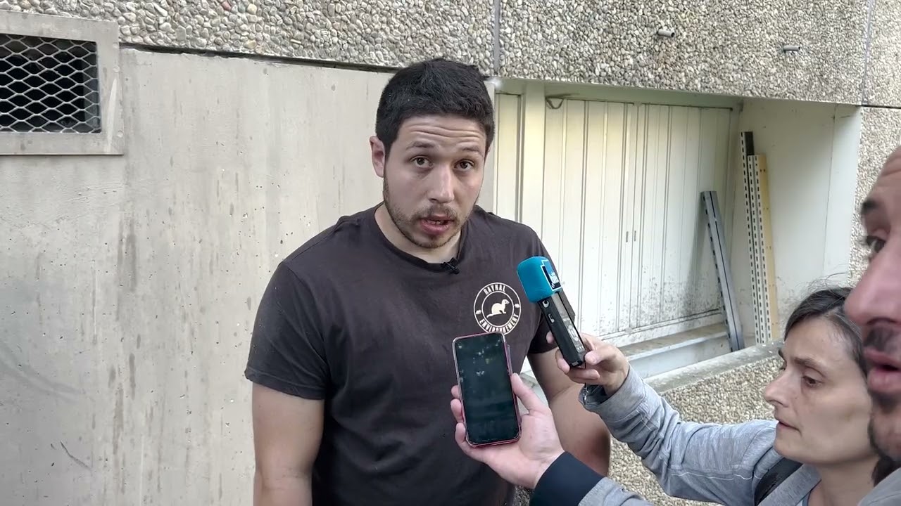 Dératisation avec des furets
