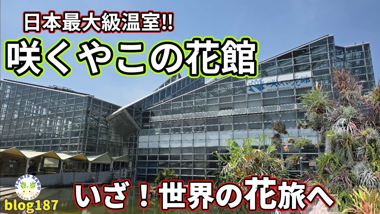 【満足度120%✨】念願だったあの超巨大温室に行ってきました🌱