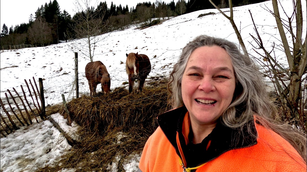 ❄️Es taut + Me/CFS crash 🐕Odin, die🐴Pferde | Echtzeit, Leben in Norwegen