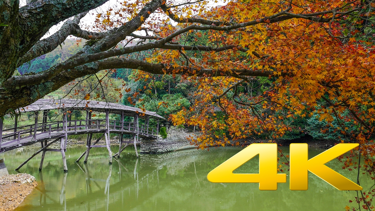 Yuge Shrine and the Taiko Bridge - Ehime - 弓削神社の太鼓橋 - 4K Ultra HD
