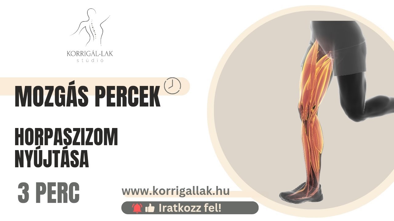 Mozgás percek 🕐 👉 Horpaszizom nyújtása lépésről-lépésre 