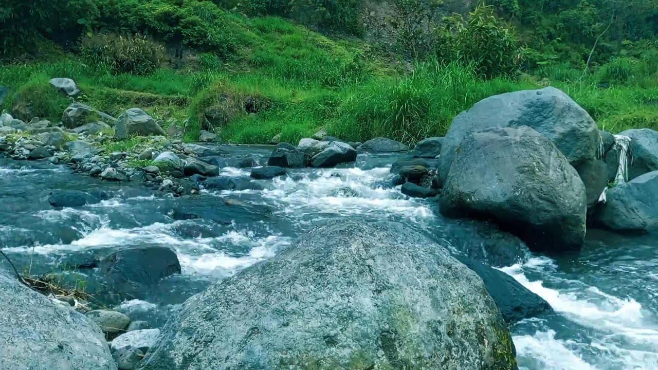 Sleep Stream | Clean River Sound Ambience for Sleep and Inner Stillness