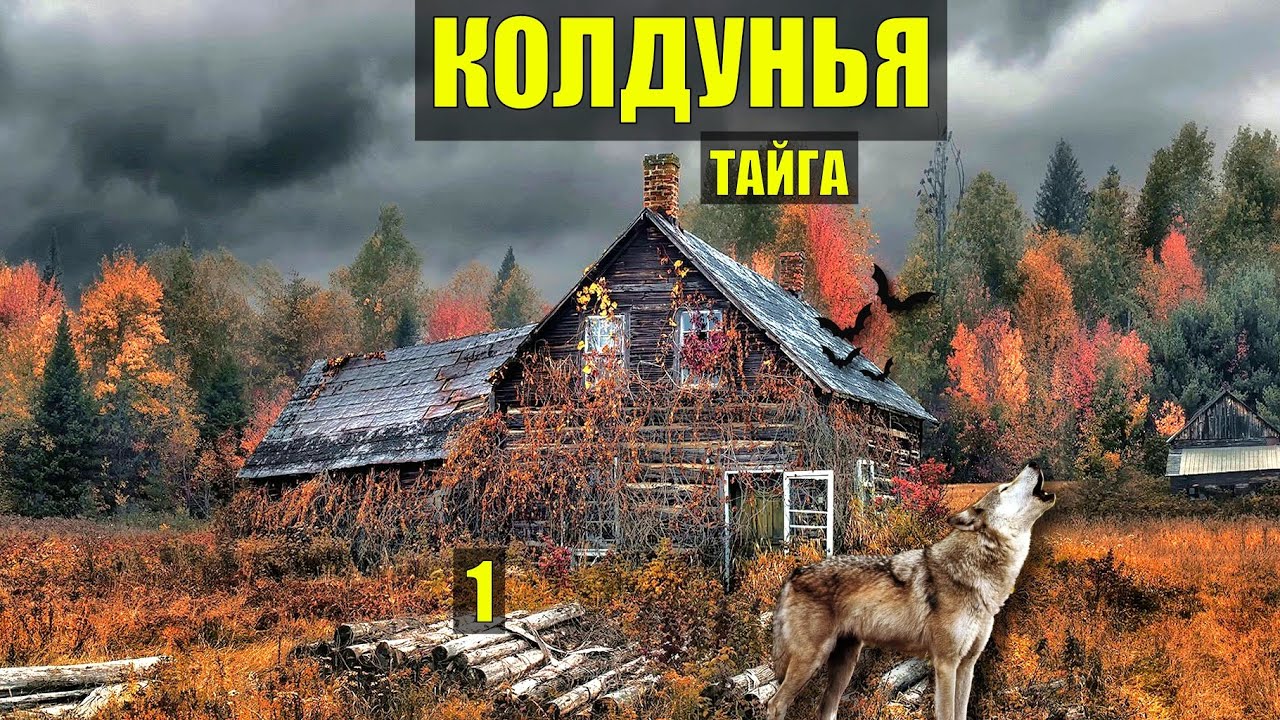 КОЛДУНЬЯ ЖИВЁТ в ТАЙГЕ ДОМ в ЛЕСУ СТРАШНЫЕ ИСТОРИИ из ЖИЗНИ МИСТИКА ФАНТАСТИКА АУДИОКНИГА СЕРИАЛ 1