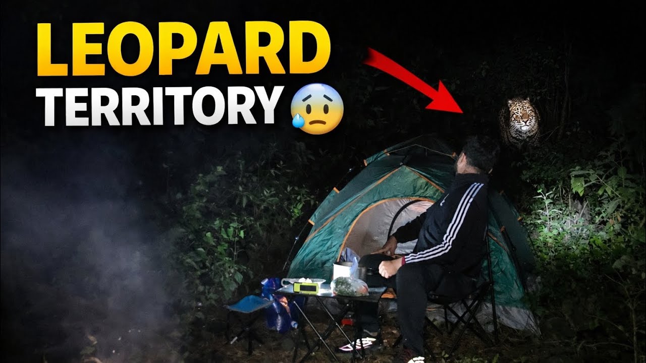 Leopard Territory | Dangerous Forest Camping | Camping In India 