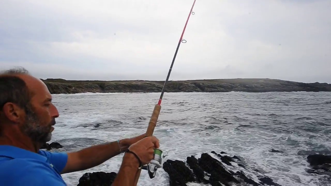 Pêche au bar.  Un gros bar en direct !