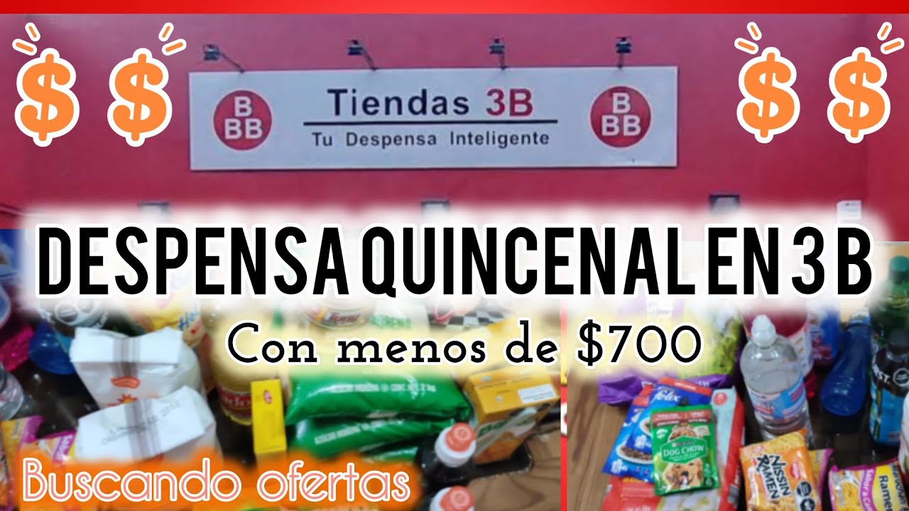 ✅ DESPENSA QUINCENAL CON MENOS DE $700 EN TIENDA 3B 🛒// BUSCANDO OFERTAS// LIMPIEZA DIARIA 