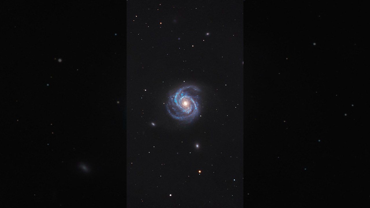 Galaxy Through My Telescope (M100) #astrophotography #telescope #galaxy