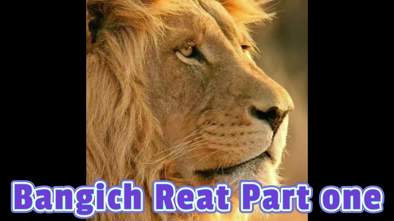 Bangich Reat part one