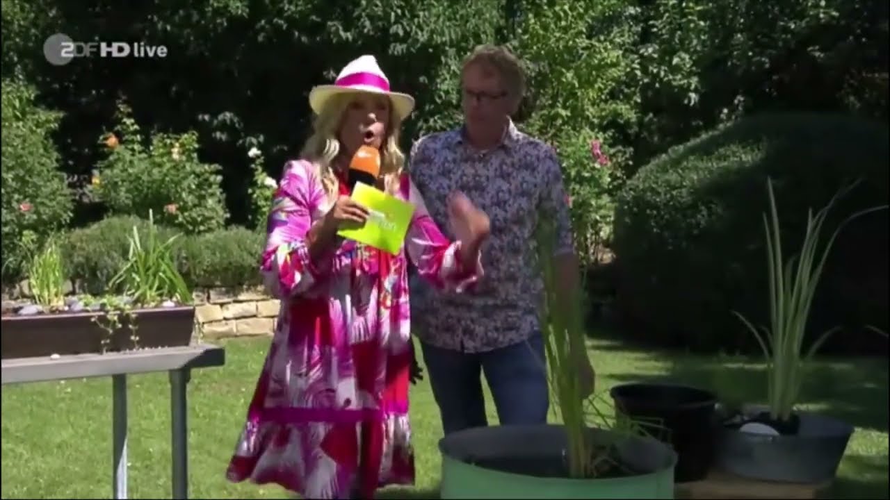 Wasserpflanzen f&uuml;r den Garten🌱⛲