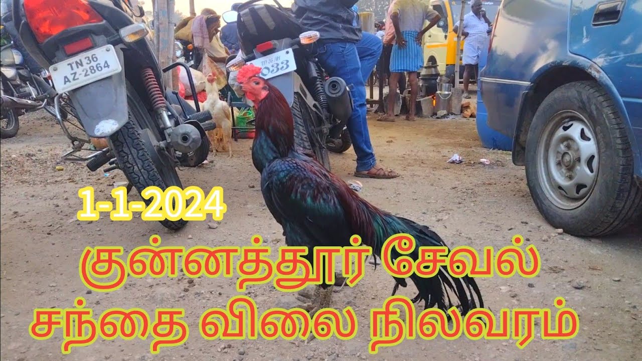1-1-2024 குன்னத்தூர் சேவல் சந்தைவிலைநிலவரம் 