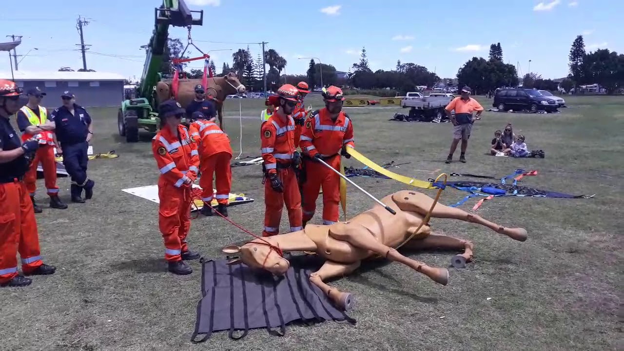 Large Animal Rescue Demo