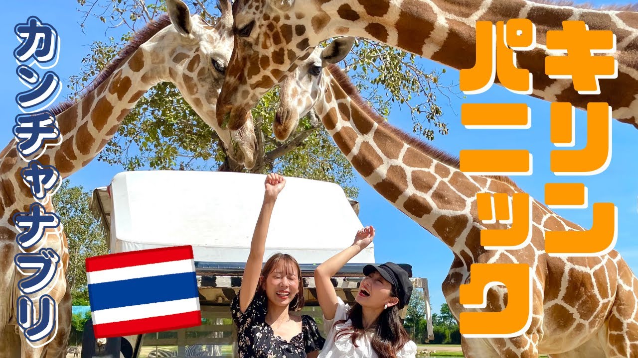 [タイ・カンチャナブリ]タイで５番目にでかい大仏！キリンまみれられるSafari Parkで大課金！めちゃくちゃ映えるサファリパーク楽しすぎKanchanaburi จังหวัดกาญจนบุรี