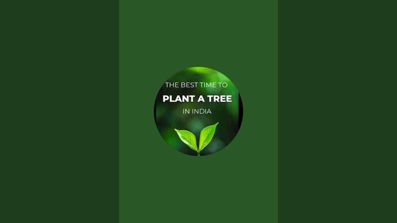 Plant and flowers and nature