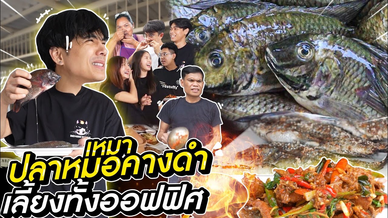 เหมาปลาหมอคางดำ จ้างเชฟมาทำเลี้ยงพนักงานทั้งออฟฟิศ l [Nickynachat]